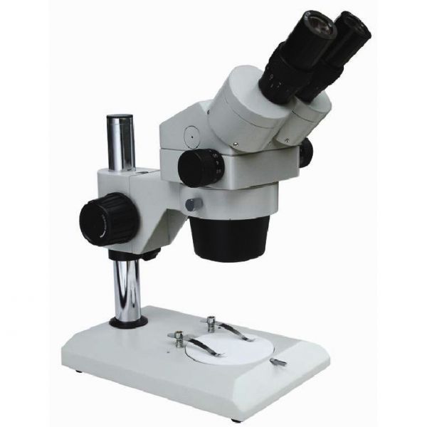 XTL-300显微镜桂光显微镜