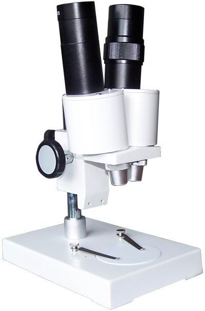 XTX-4A镶石显微镜镶石放大镜